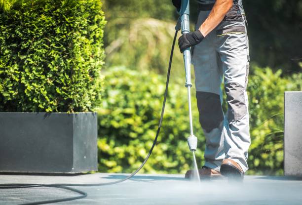 Best Driveway Cleaning and Restoration in Weston Lakes, TX